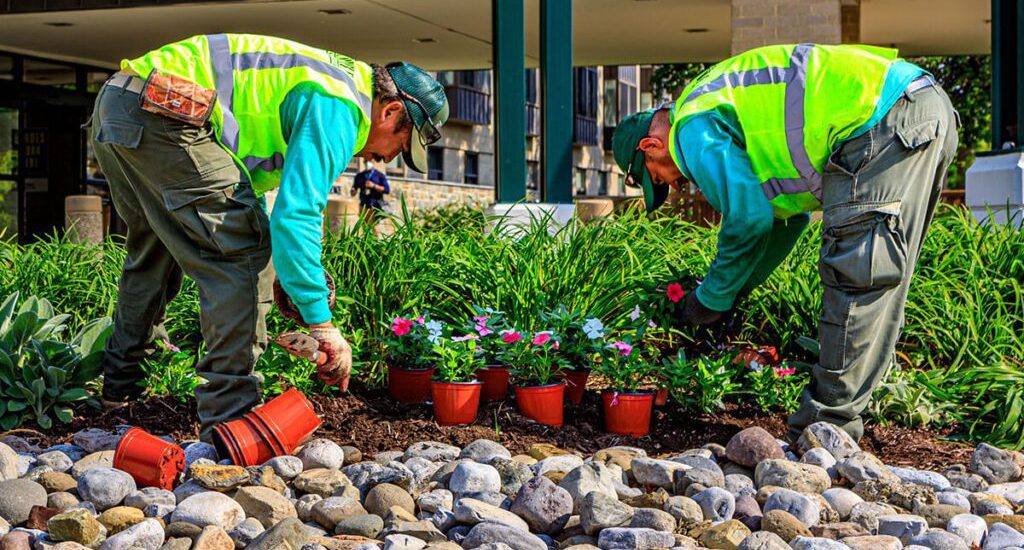 Greenline Property Services landscaping team at work — ISO 9001 case study, Melbourne landscaper