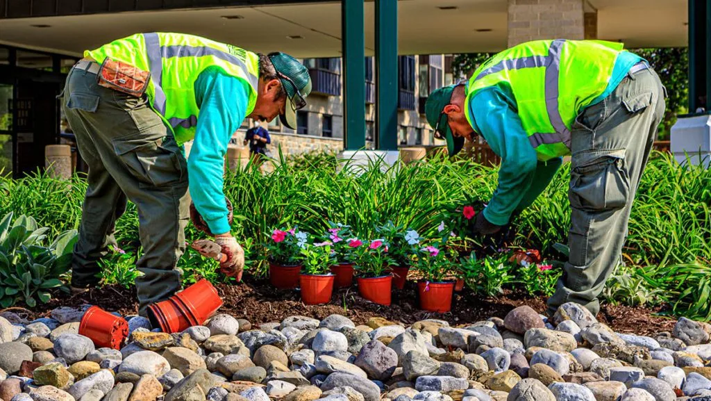 Greenline Property Services landscaping team at work — ISO 9001 case study, Melbourne landscaper